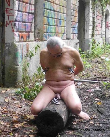Cbt28-2015-036-1