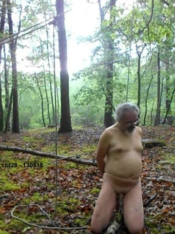 Cbt28-2016-028-1