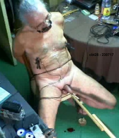 Cbt28-2017-015-1