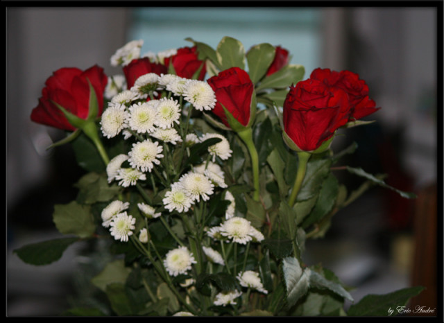 objets 0007 copie