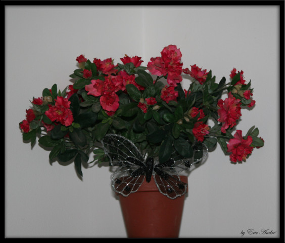 objets 0010 copie