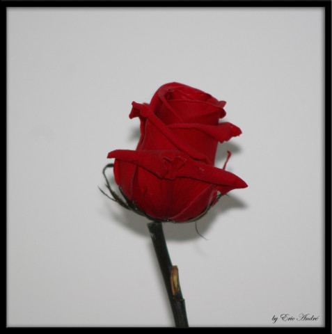 objets 0014 copie