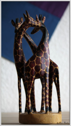 objets 8314 copie