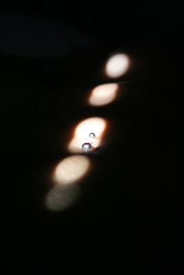 Galerie-12 1366