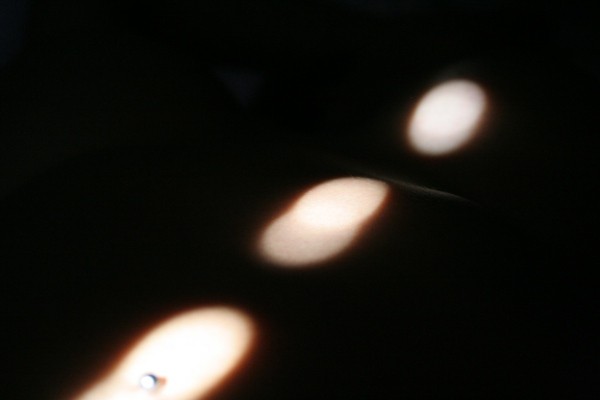 Galerie-12 1367