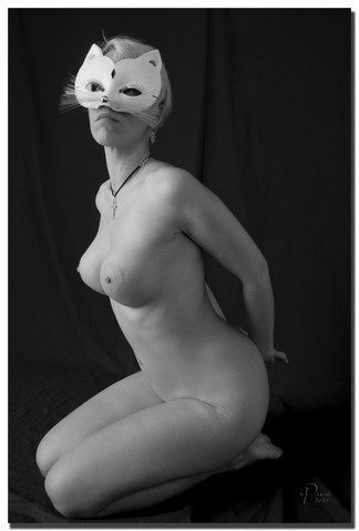 art pascal 6