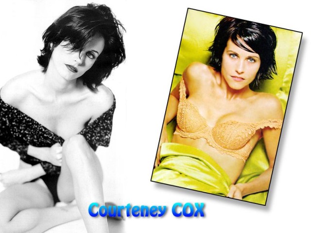 ZZ  Courteney Cox Celebrity Female Stripped Down Sexy Wallp