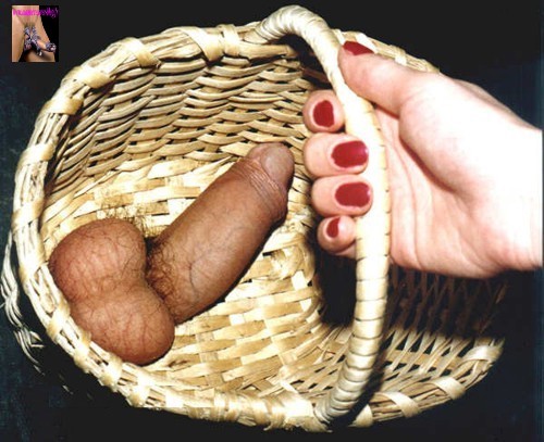 tumblr l0u935JlQw1qb5wbbo1 500