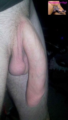 tumblr mm87bfG3mj1r8wd3oo1 250