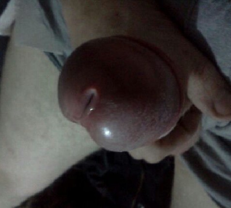 cock (4)