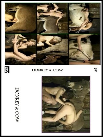 donkey&cow