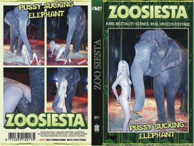 zoo siesta pussy sucking elephant