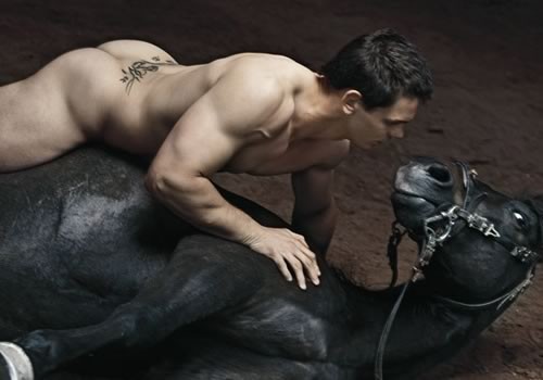 dievx-dv-stade-2011-naked-stallion-butt