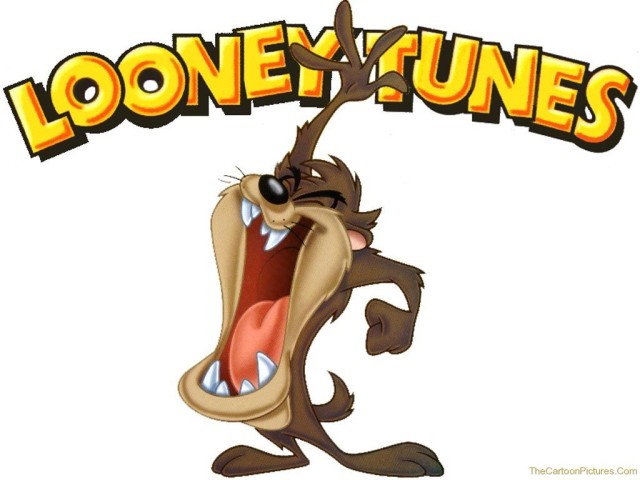 taz looney