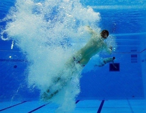 piscine plongeon