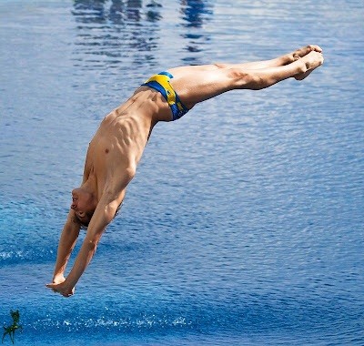 plongeon