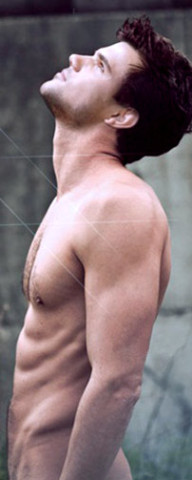 Taylor Lautner