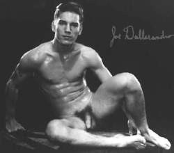joe d'allesandro3