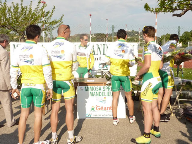 Mimosa Géant
