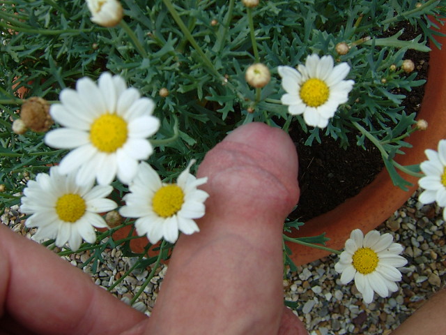 DSCF7422