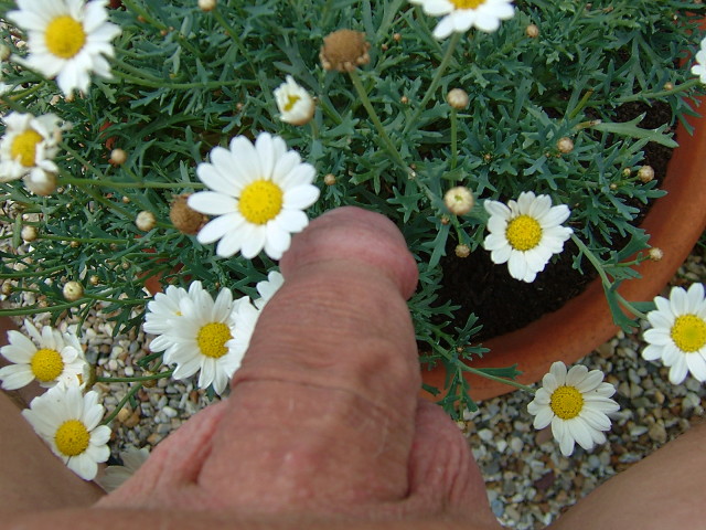 DSCF7423