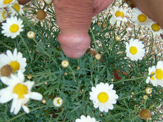 DSCF7424