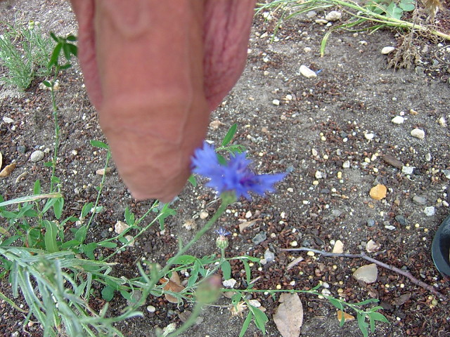 DSCF7425