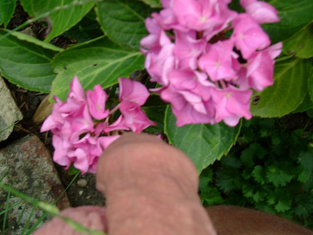 DSCF7431