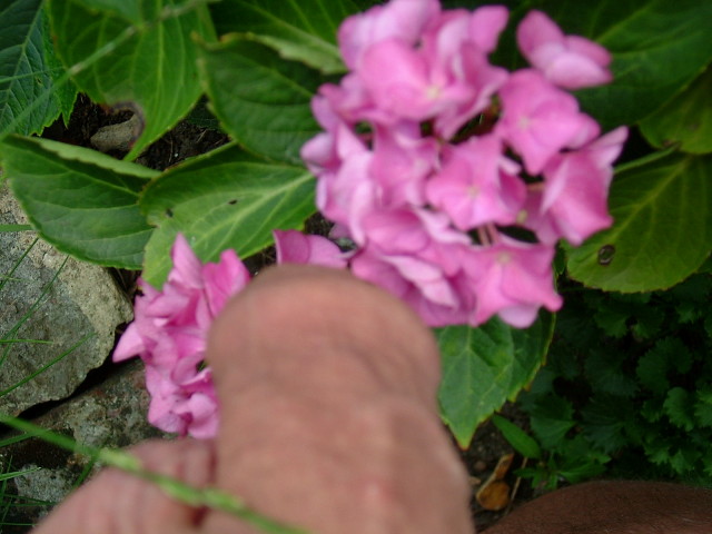 DSCF7432