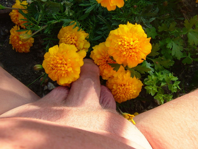 DSCF7881