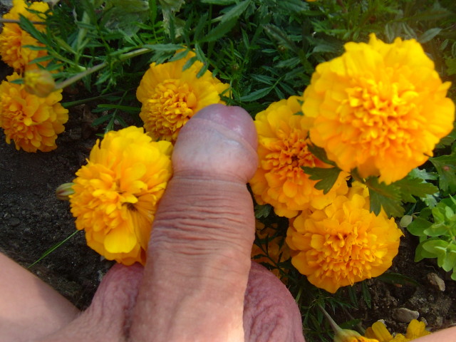 DSCF7882