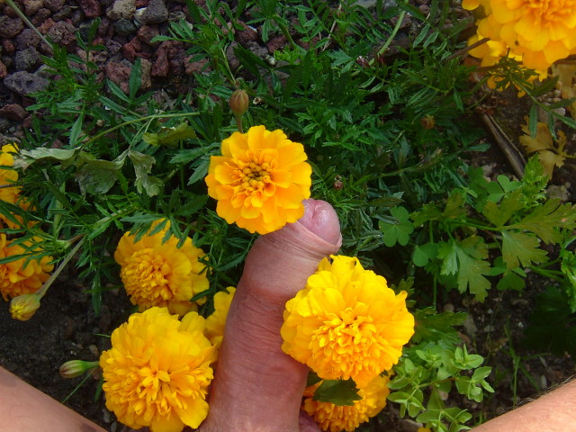 DSCF7885