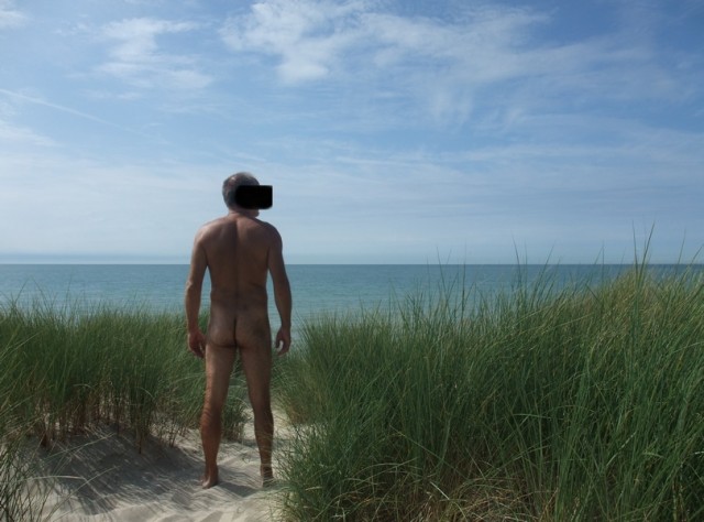 Milo dans les dunes de Berck