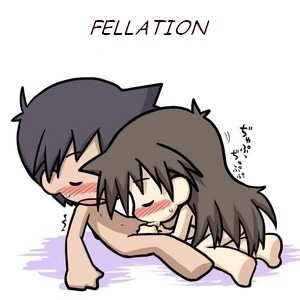 HF 002