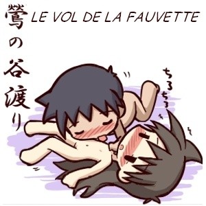 HF 017