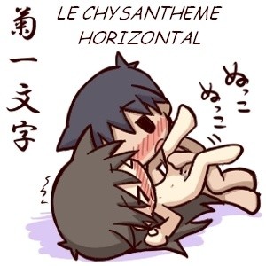 HF 037