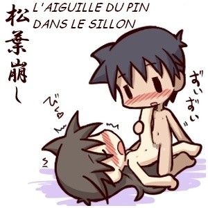 HF 041