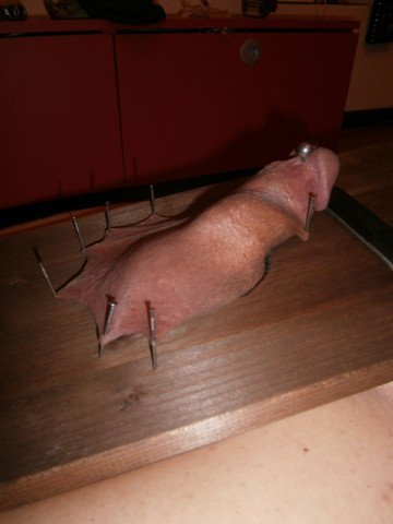 P7050068