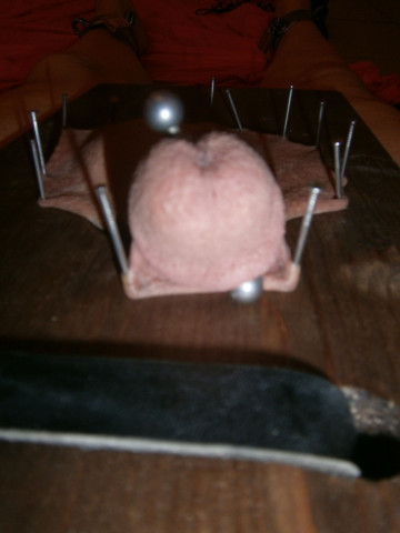 P7050076