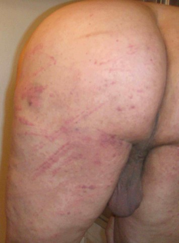 DSC01488