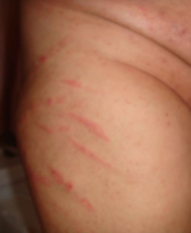 DSC01496