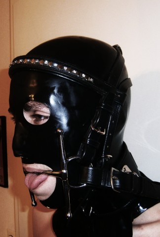 pony slave