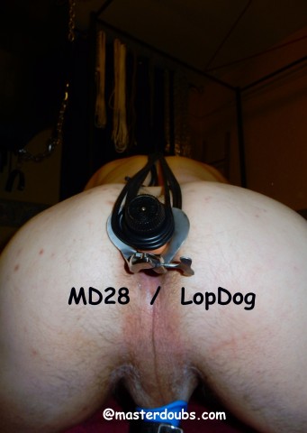 2015.11 Feb  Md28LopDog (35)