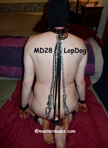 2015.11 Feb  Md28LopDog (52)