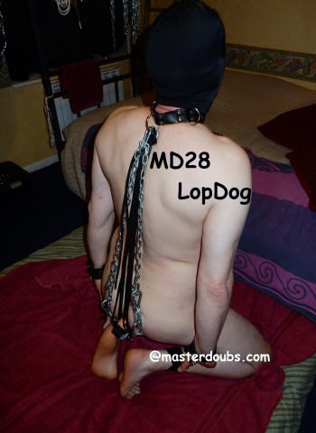 2015.11 Feb  Md28LopDog (55)