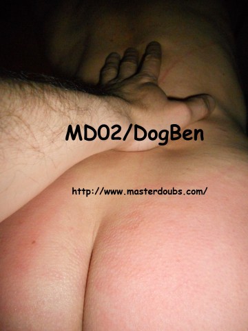 2014.Nov MD02 DogBen (02)