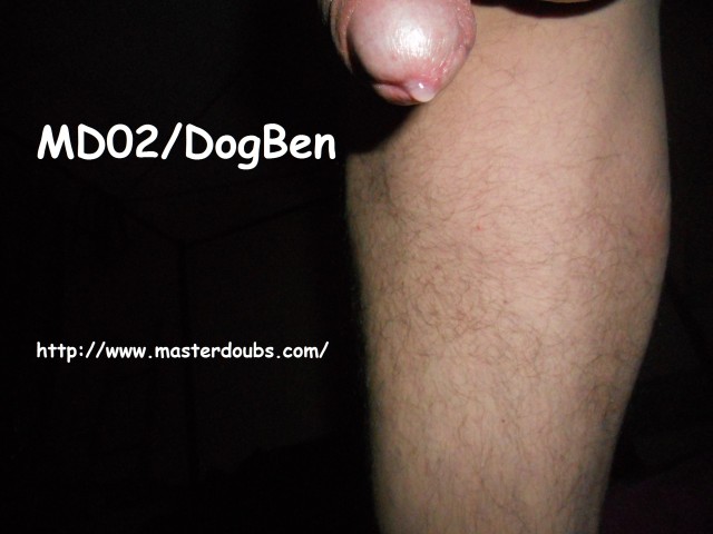 2014.Nov MD02 DogBen (08)