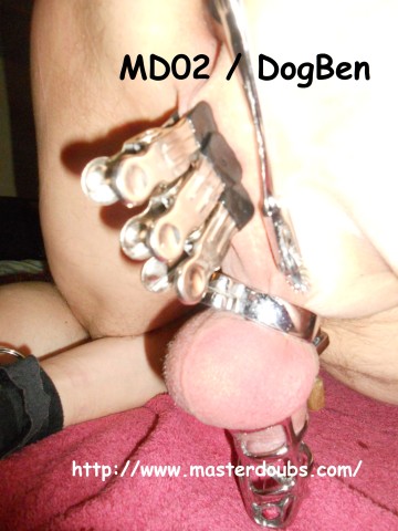 2014.Nov MD02 DogBen (28)