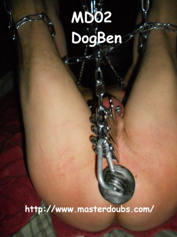 2014.Nov MD02 DogBen (47)