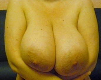 @seins (23)